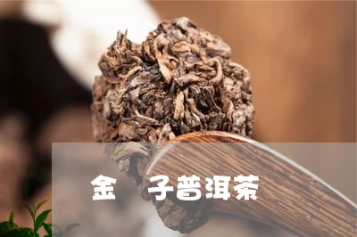 金 子普洱茶/2023042799921